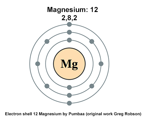 magnesiumandhealth.com