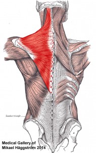 neck pain