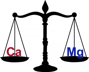 Mg Ca balance