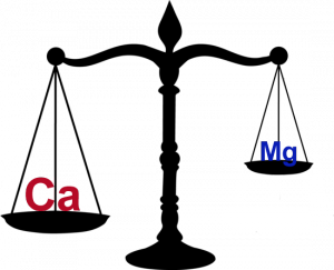 Ca:Mg ratio