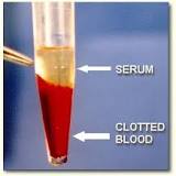 serum