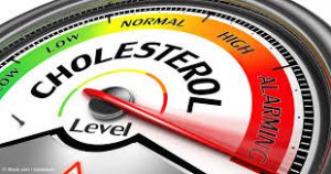 Mercola Cholesterol