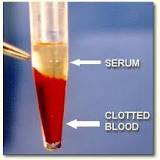 serum test