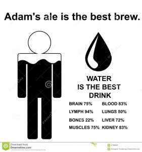 adam's ale