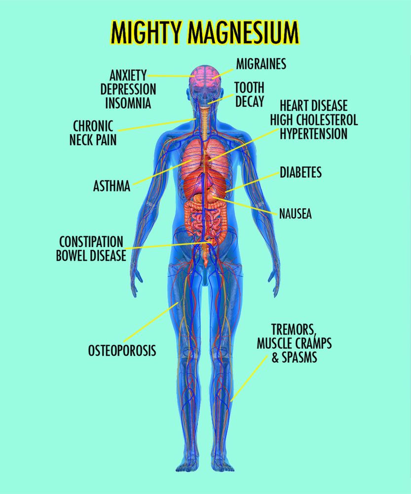 What is Magnesium