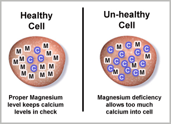 Ca:Mg how to sleep well