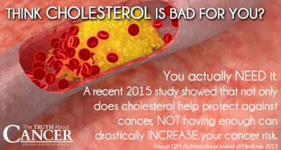 cholesterol is good