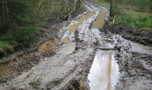 muddy lanes