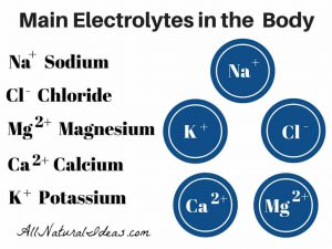 electrolytes