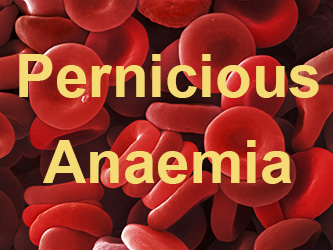 What Is Pernicious Anaemia