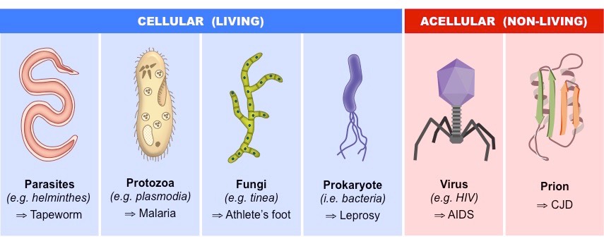 pathogens