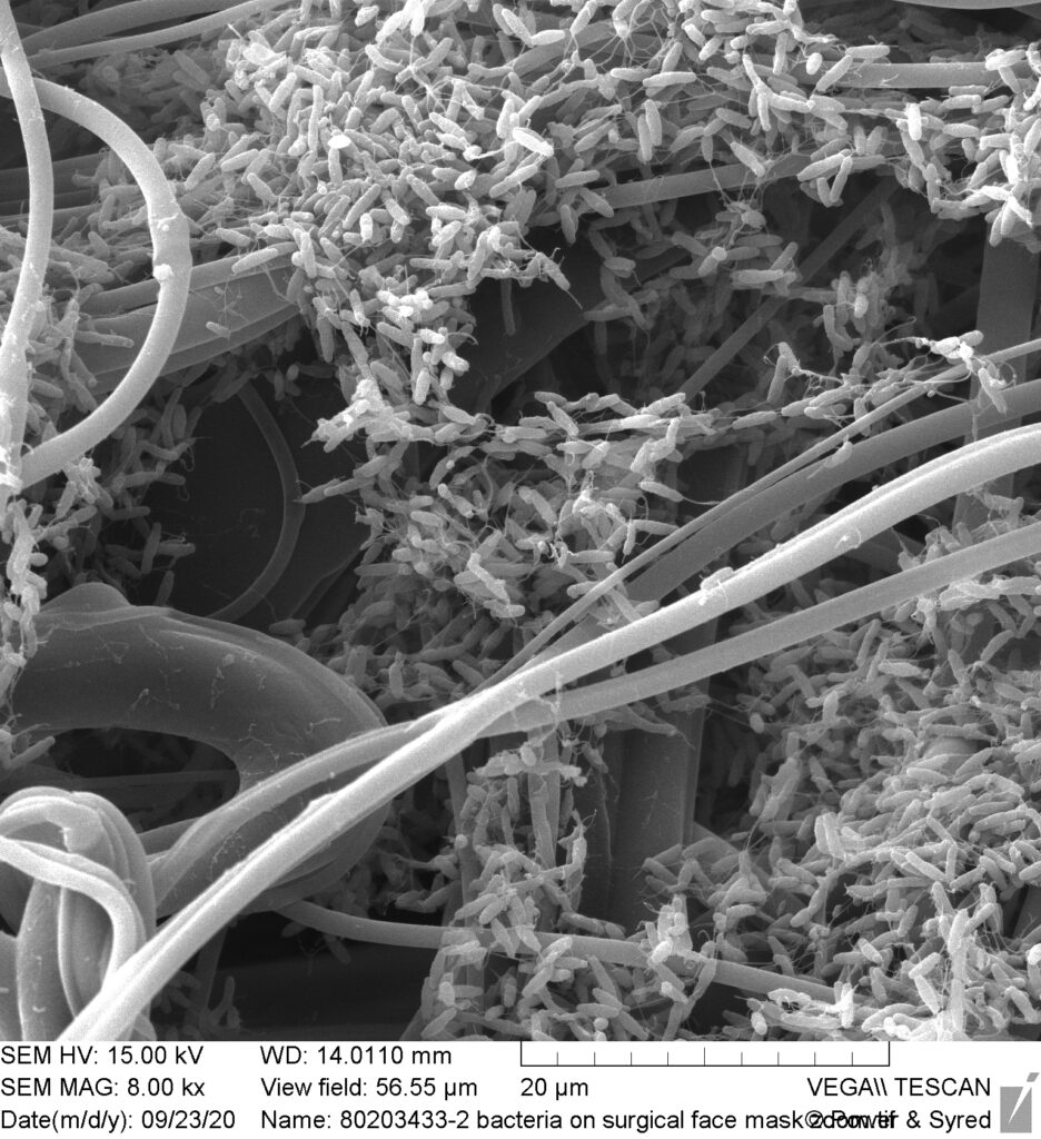 SEM of bacteria on mask